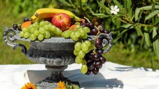 夏の食材が並ぶテーブルの写真