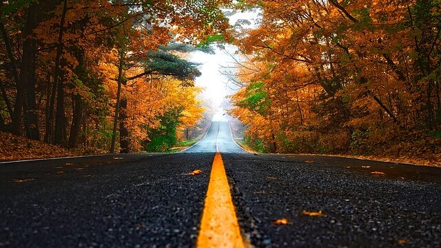 紅葉が始まった並木道。秋の訪れと季節の変わり目を感じさせる風景