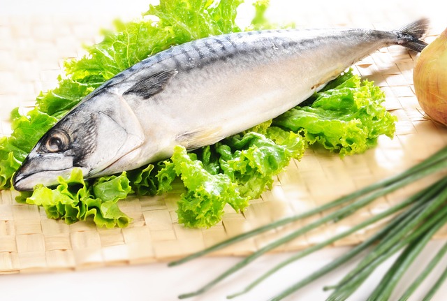 レタスと葉野菜の上に置かれた新鮮な鯖(さば)