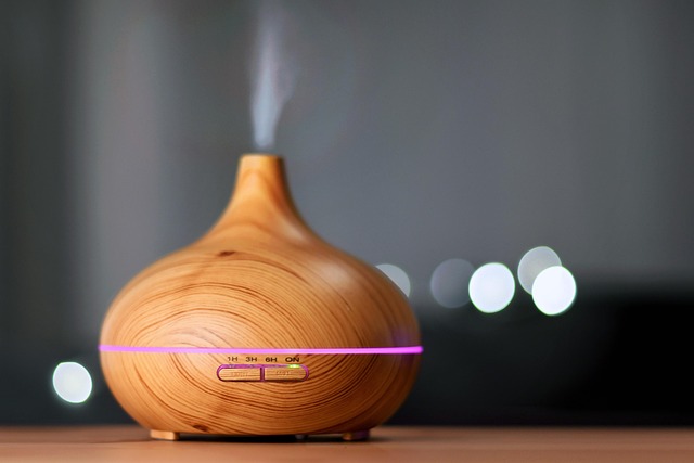 蒸気を出す加湿器。乾燥する時期に室内の湿度を保つ工夫のイメージ