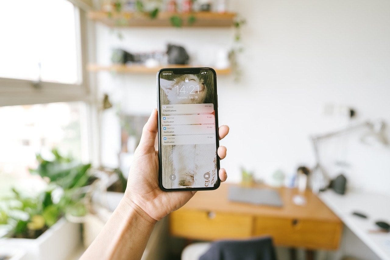 観葉植物と机のある室内でスマートフォンを手に持つ様子