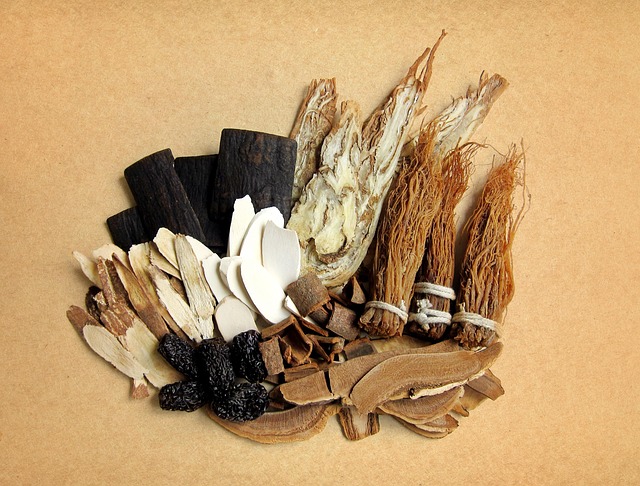 漢方薬に使われる生薬(乾燥させた薬草の数々)