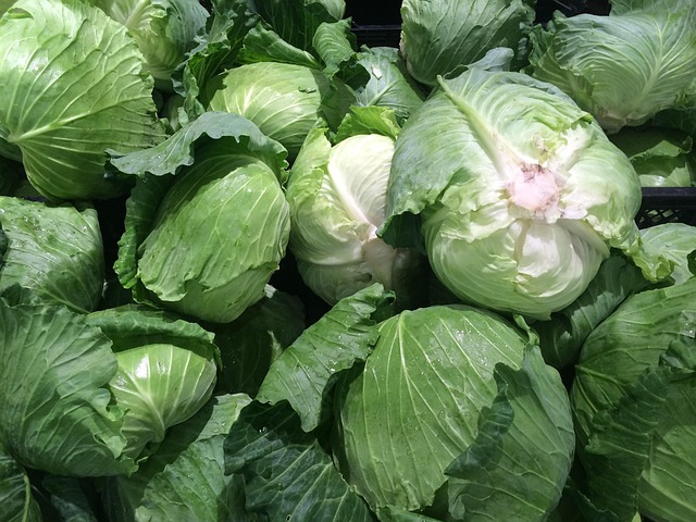 スーパーの売り場に並ぶ野菜(キャベツ)