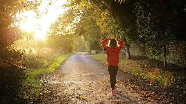 紅葉した並木道を歩く人の後ろ姿