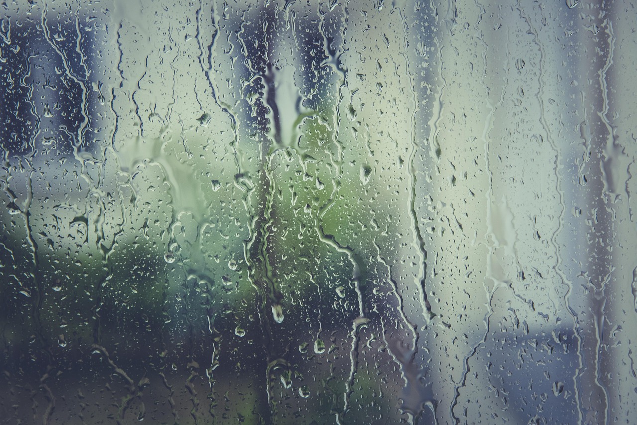 窓ガラス一面についた水滴が、筋になって流れ落ちている様子